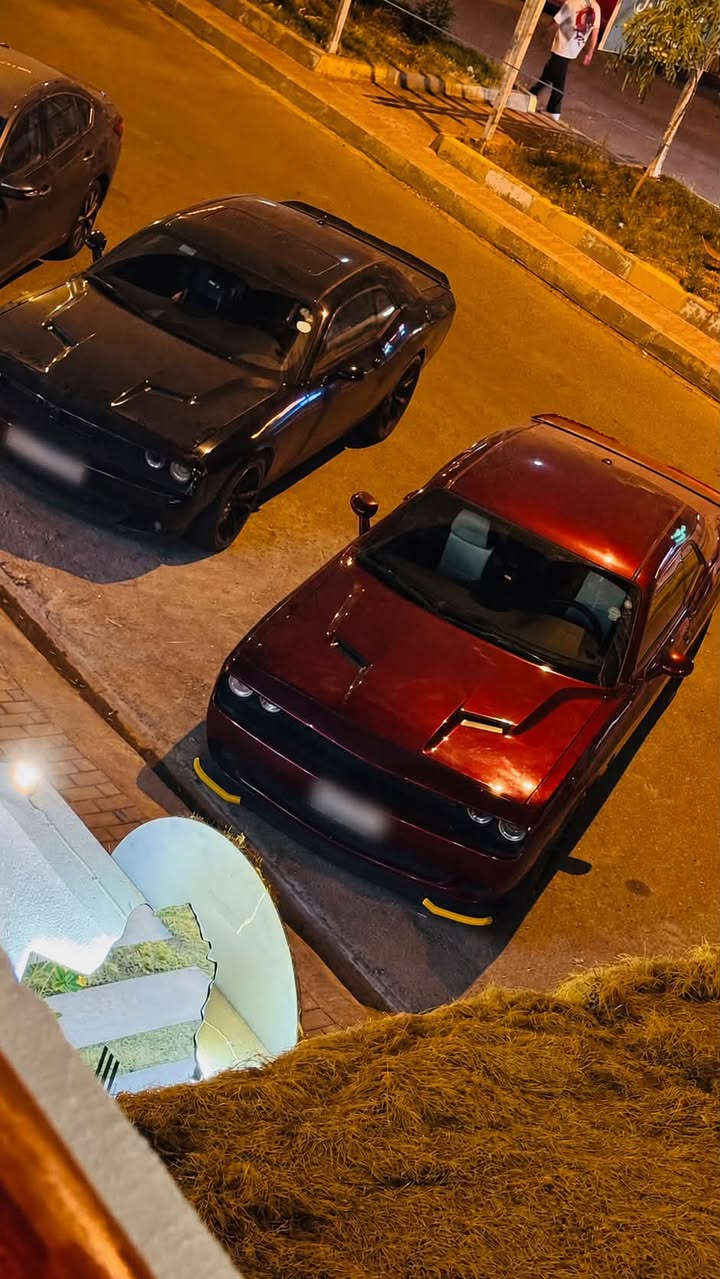 جالنجر SXT • V6 ٣٦٠٠ • رقم أربيل