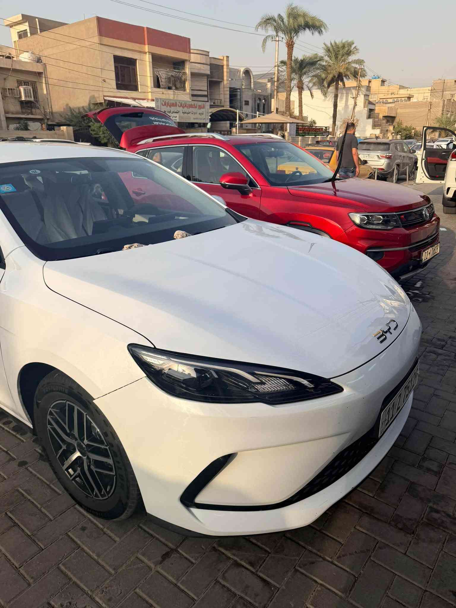 سيل5 • ماشية ٢٦٠٠٠ • جنوط كروم