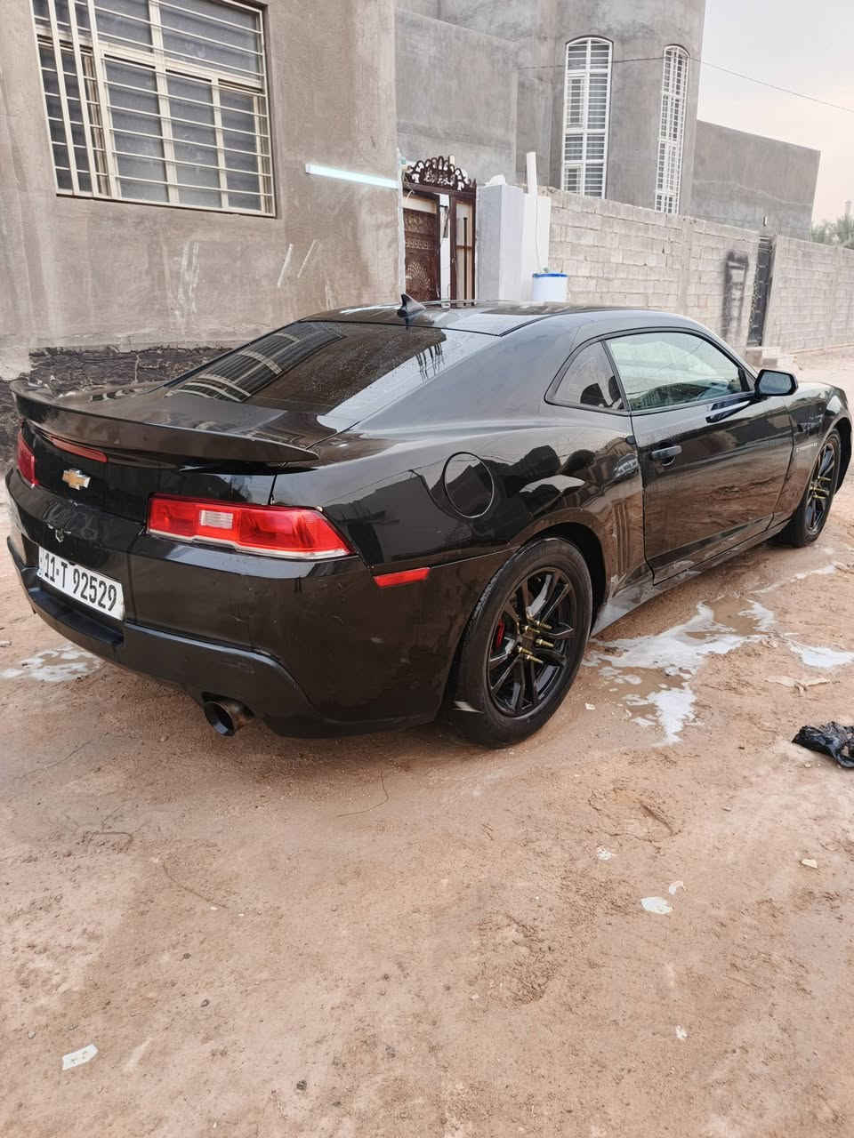 كمارو • ٢٠١٥ • وارد كندي