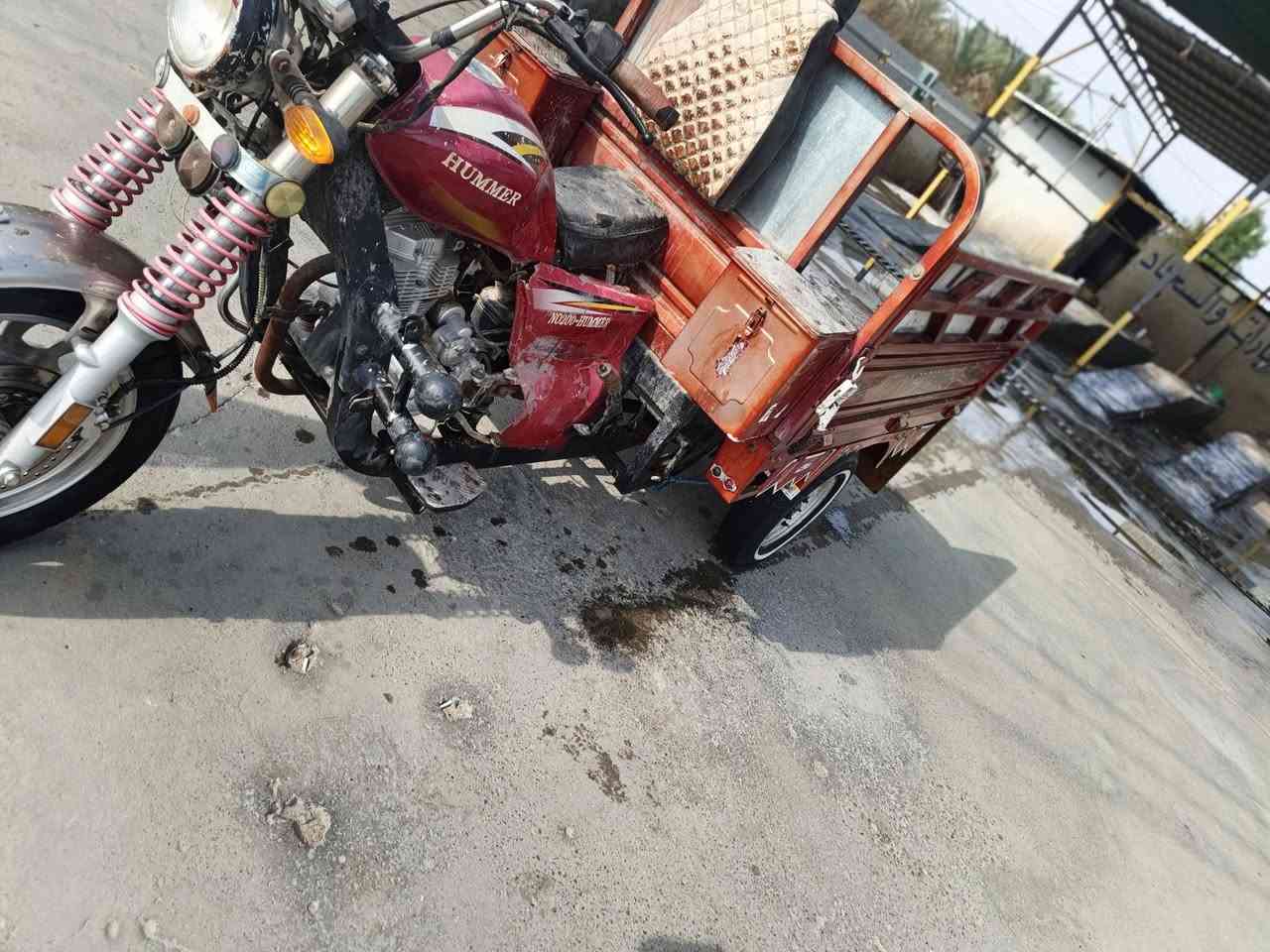 ستوته • كامله