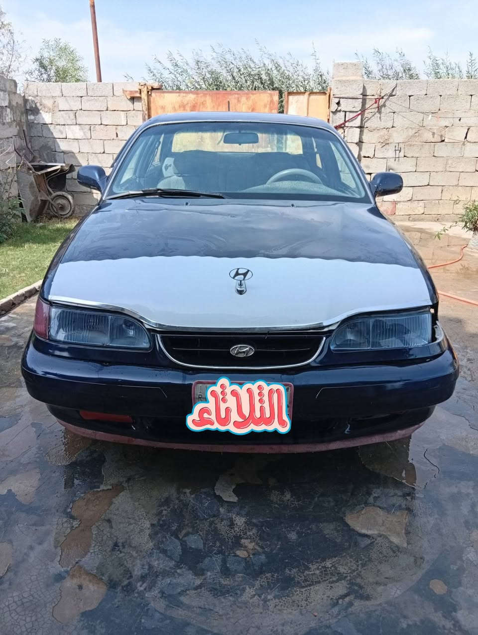 سوناته • محرك زين • بغداد