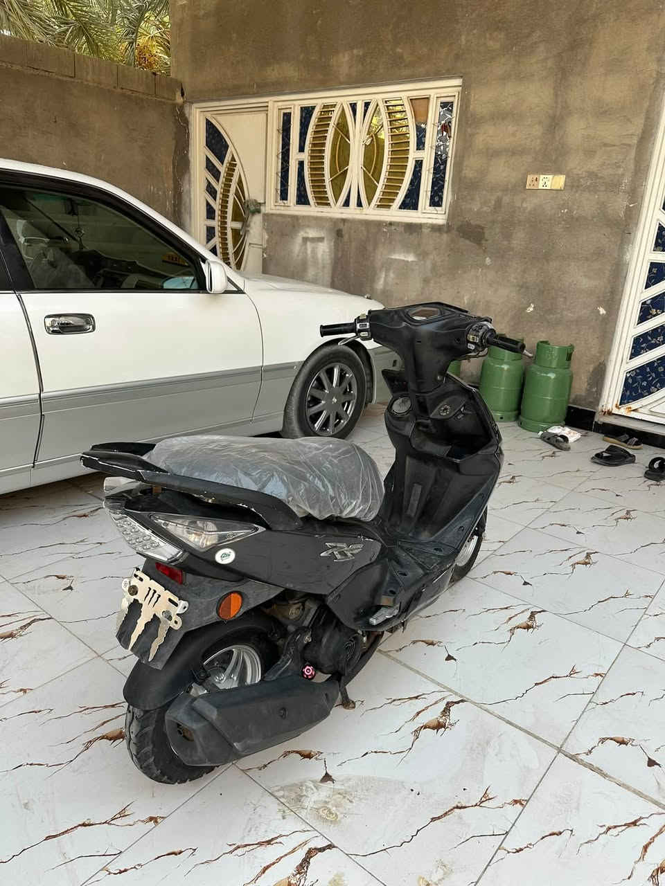 ماكس نوزل • ٢٠١٧ • كفاله عامه