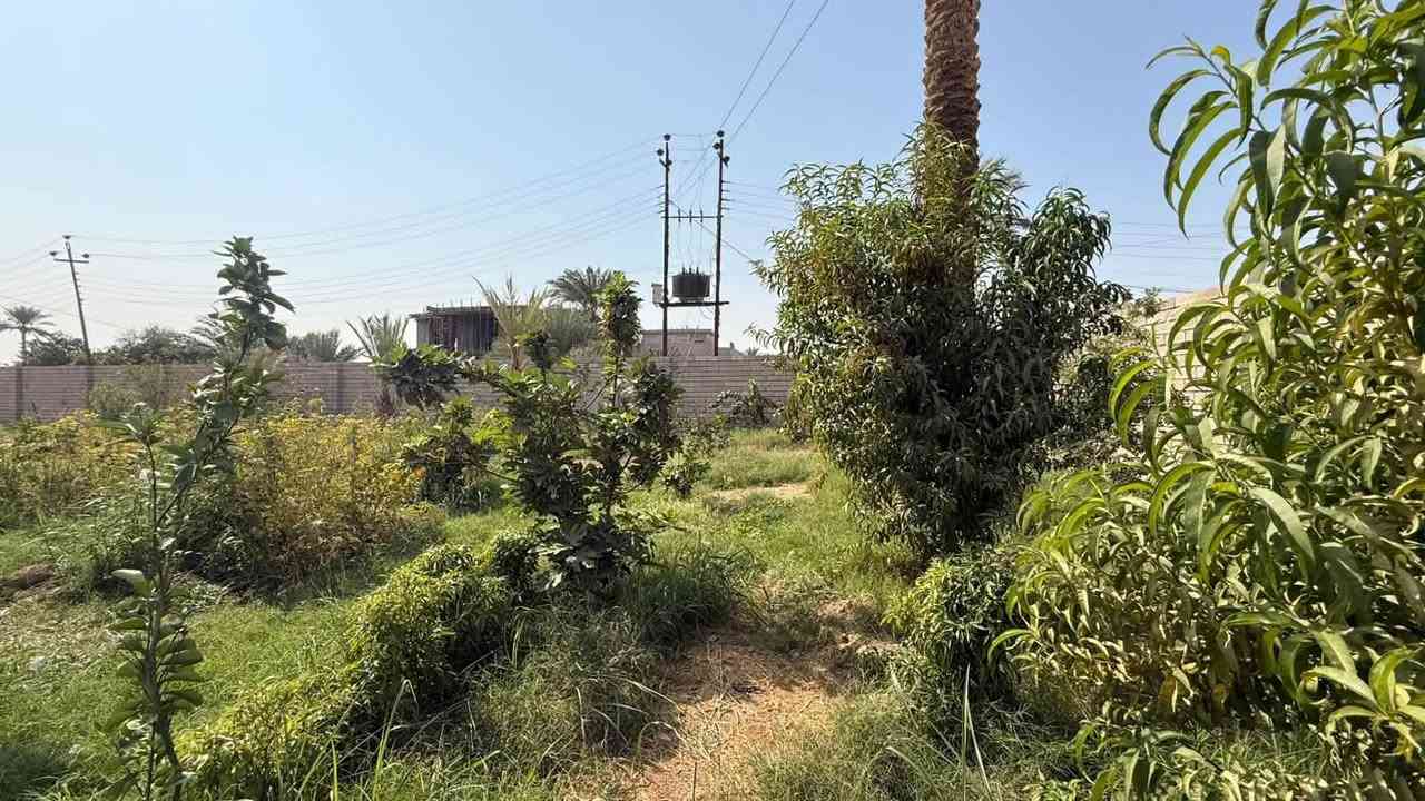 قضاء العلم • دونم • طابو زراعي