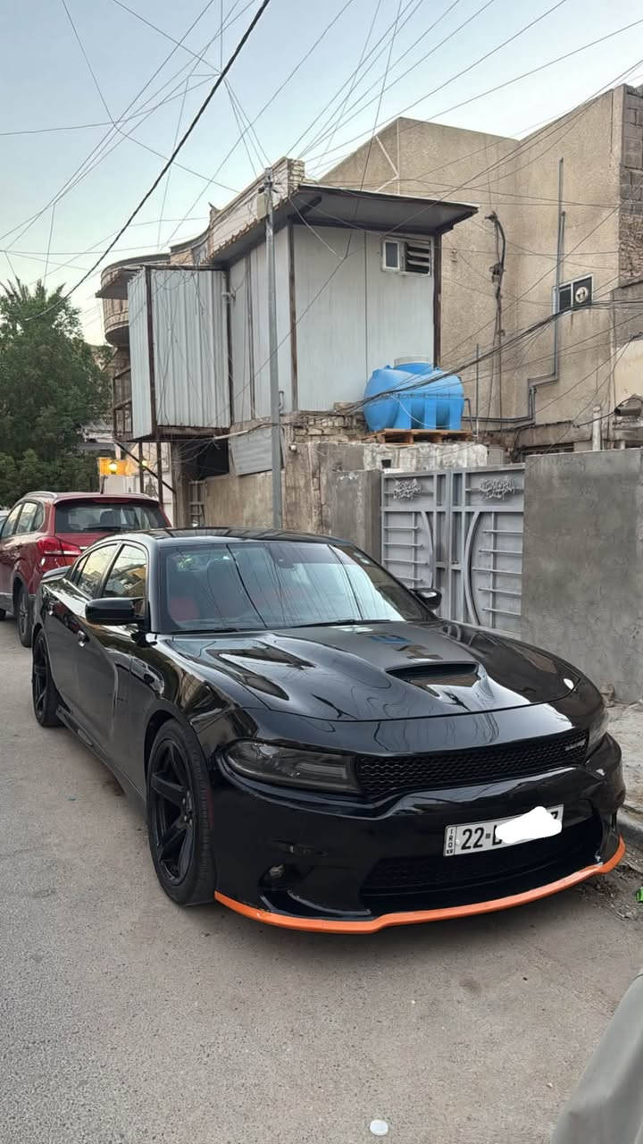 جارجر ارتي • ٢٠١٨ • رقم اربيل
