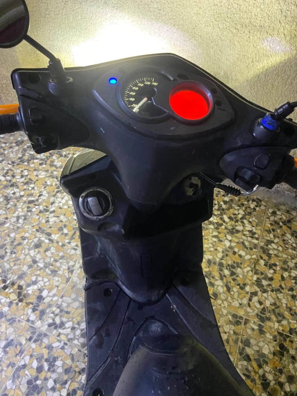 سكنس فحل • ياباني • نفخ
