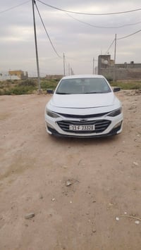 ماليبو ٢٠٢٠ • حادثة امريكا • النجف
