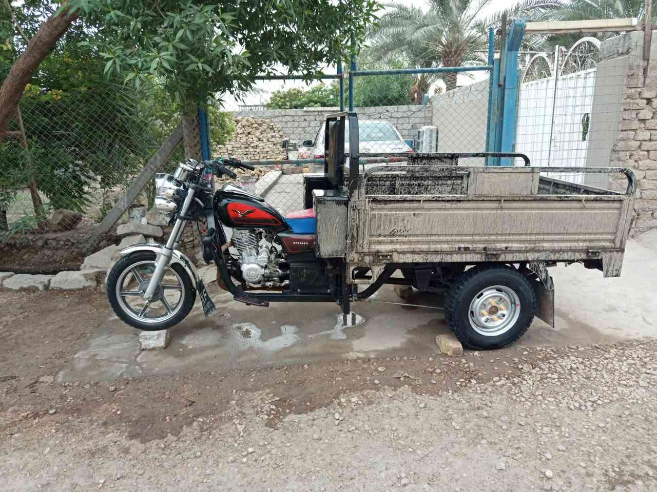 ستوته • موديل ٢٤ • مكفوله