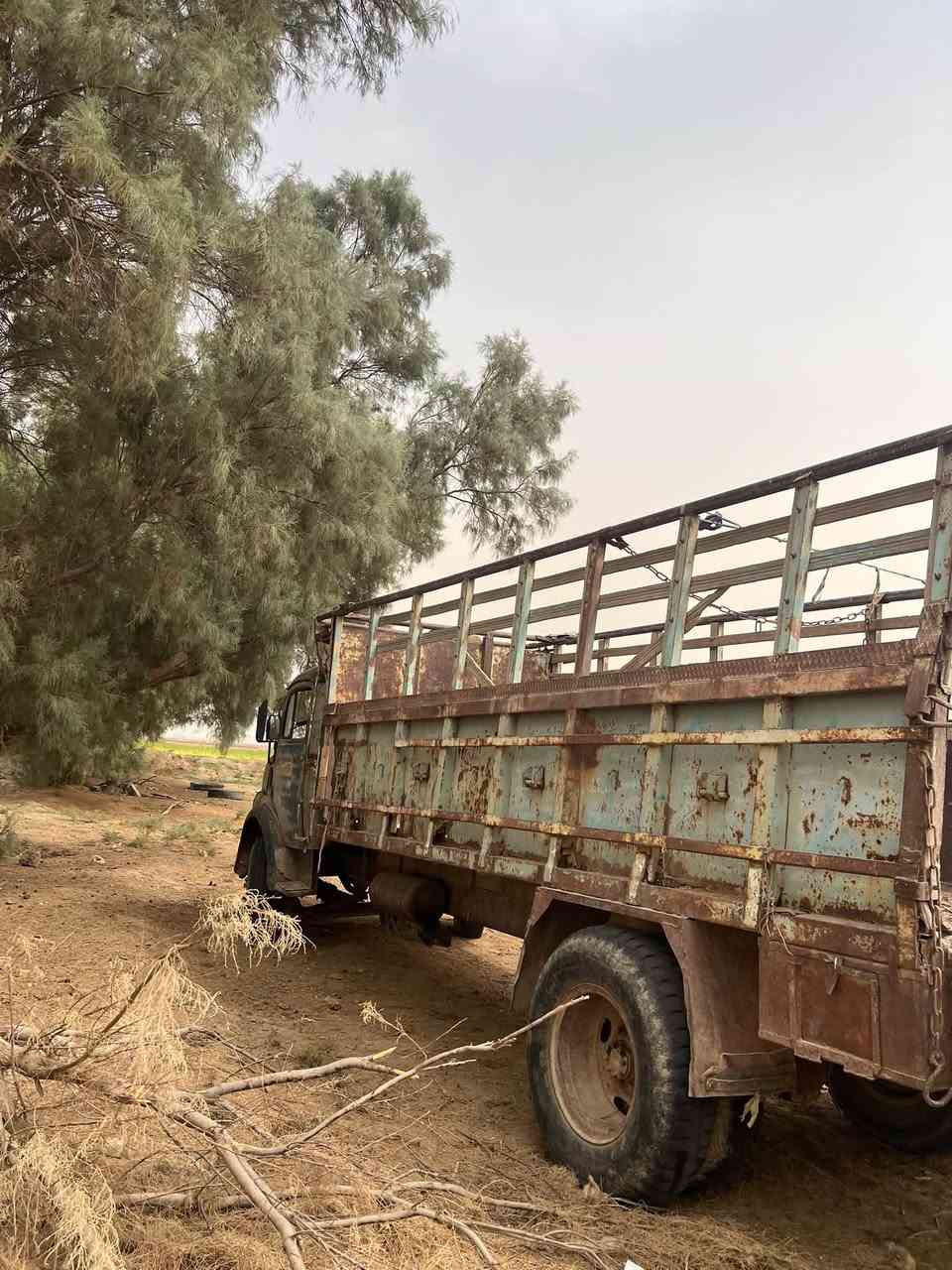 حصنيه • موديل ١٩٦٠