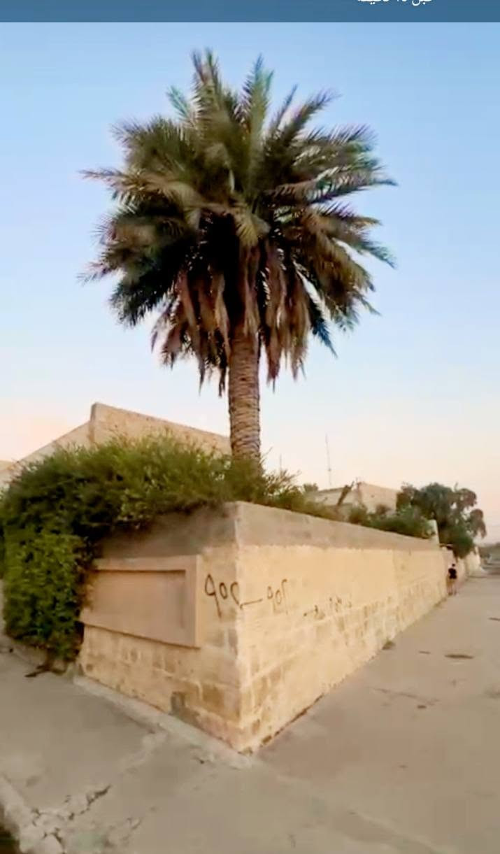المنصور الفورمنيه • ركن • ٢٣٠م
