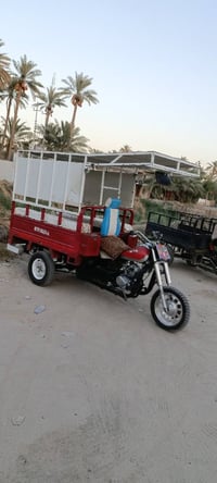 ام تي ار • ٢٠١٩ • اوراق كاملة