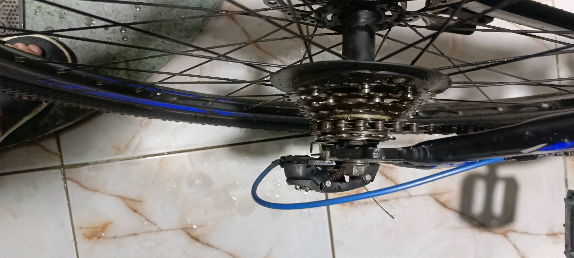 السلام عليكم 🌹
🚲 بايسكل للبيع نوع Grade Stels
الحجم: 29
الفريم: ألمنيوم
21 سرعة (3 أمامي × 7 خلفي)
ديسك بريك أمامي وخلفي
مساعد أمامي
البايسكل كامل ومكمل وما بيه نقص حسب الموجود بالصورة.
يحتاج فقط غسل وتنظيف وتزييت وضبط بسيط للتعشيق حتى يصير جاهز للاستخدام.
مناسب للشارع والاستخدام اليومي.
📍 الموقع: بغداد – المشتل
💰 السعر: 150 ألف دينار، وقابل للتفاوض بالمعقول.
الجاد يتفضل، والمعاينة خير دليل. 🌹