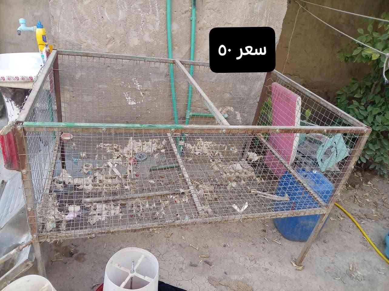 سلام عليكم غراض محل مال دجاج للبيع للاستفسار (***********) سعر بصوره
