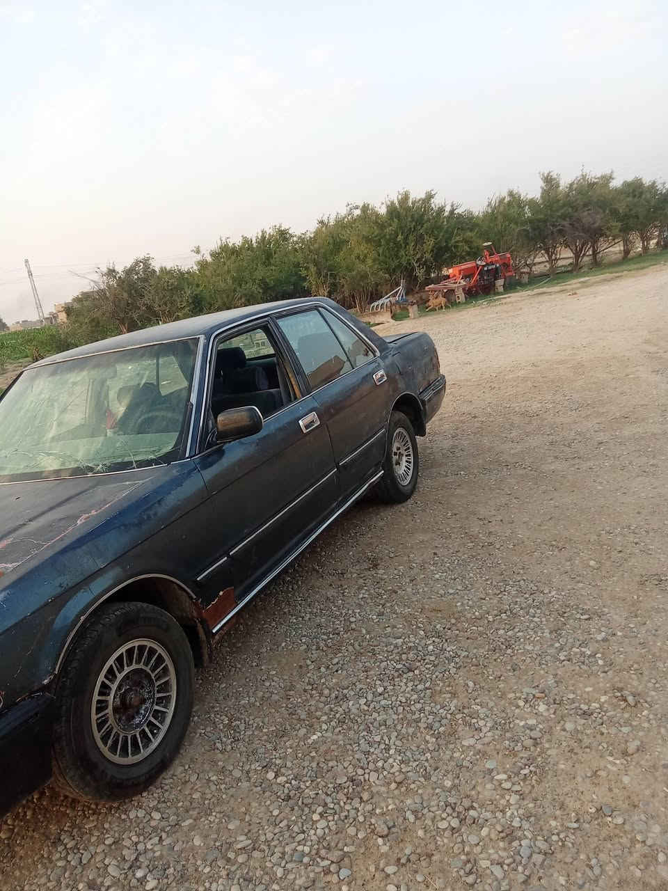 للبيع او مراوس حسب القناعه 

السلام عليكم سيدان فحص نينوى كير محرك بلادي شرط نشاط فول فول صدر جديد تخم تاير جديد دوشمه جديده مسجل شقال كهربائيات شقاله دبل اشاير لايت عالي ناصي سياره جاهزه مال جناي السعر 18 وبيها مجال بسيط ويرهم مراوس المكان الحويجه شراي اتصل ***********
