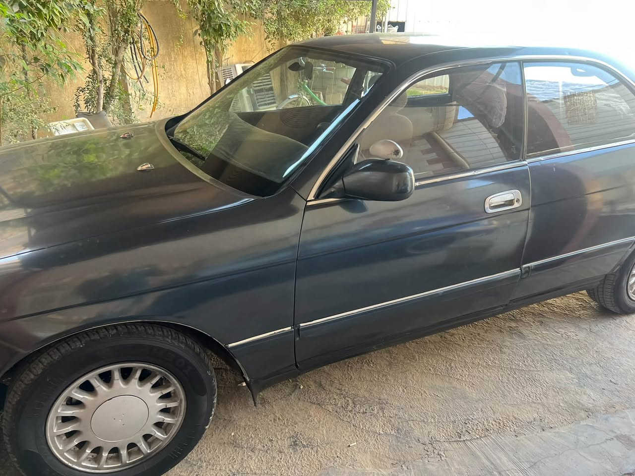 بطه منفصل • ١٩٩٤ • رقم انبار
