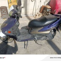 سگنس فحل • جاهزة • بيها مجال