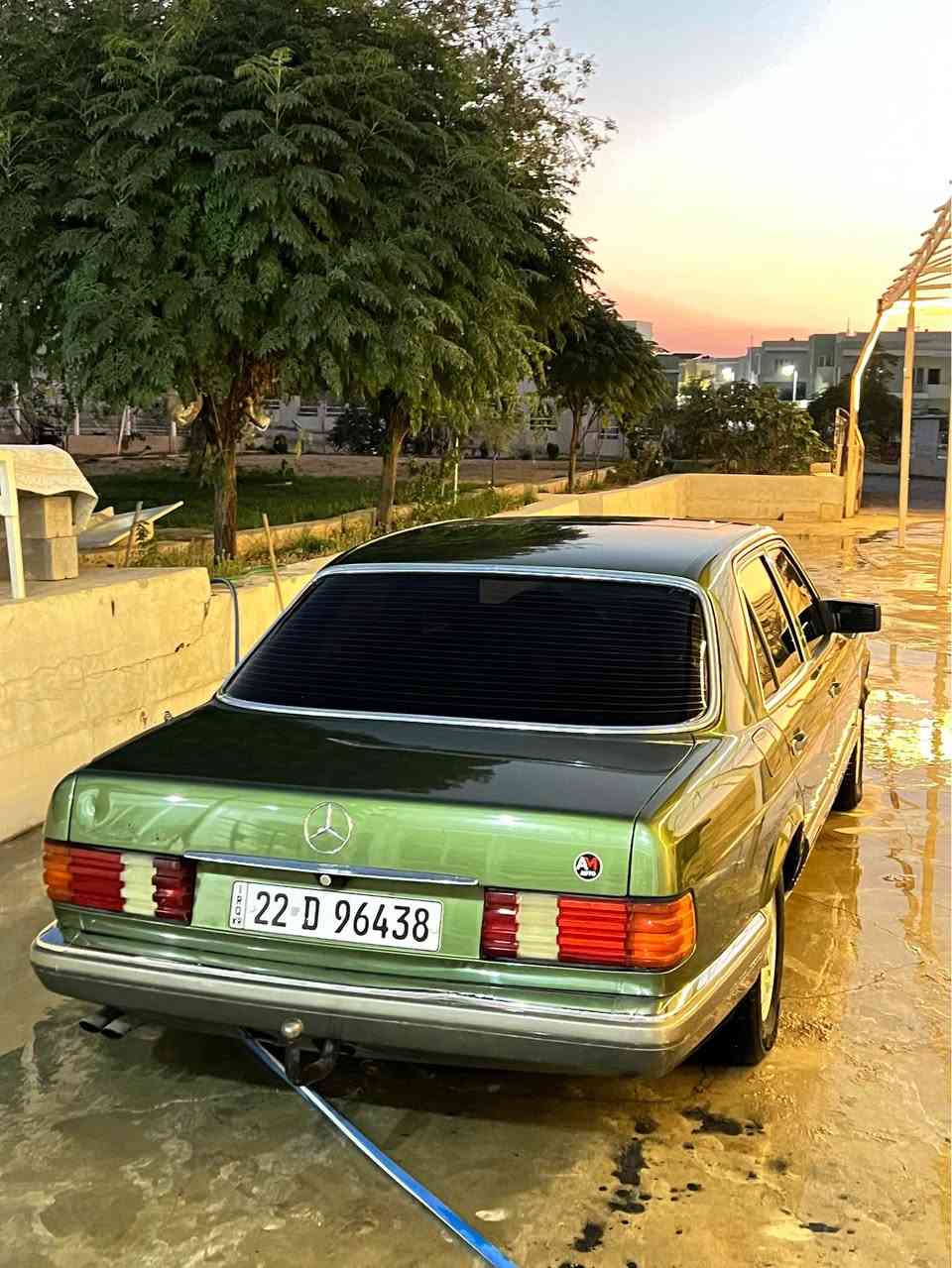 مرسيدس • ١٩٨٣ • زيتونة