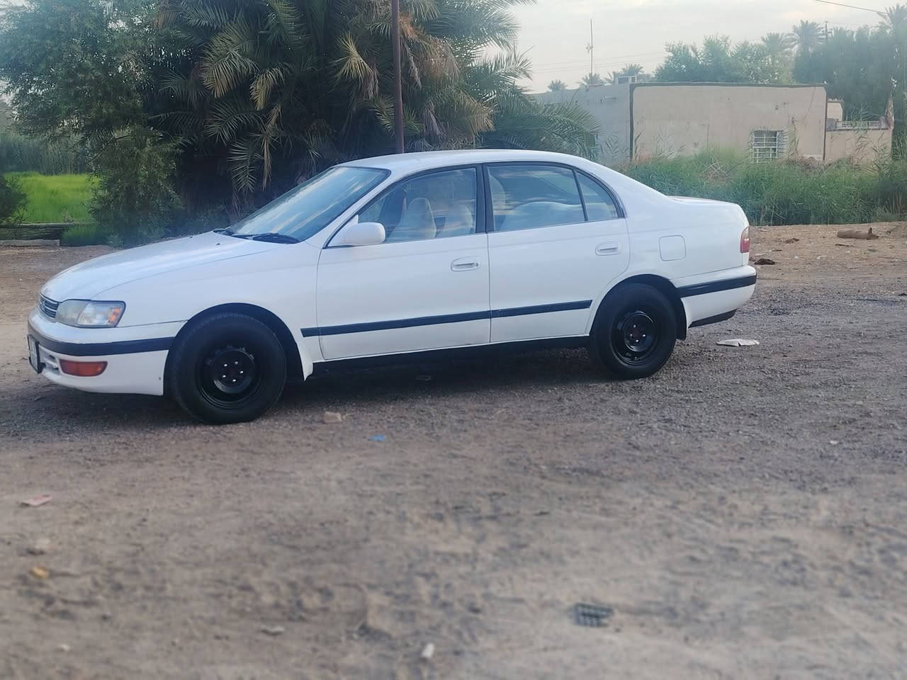 سلام عليكم ورحمة الله وبركاته

سياره كرونه للبيع مديل 95

سياره جاهزه وجديده حيل اجدد من الي بل صوره

مكفوله من الضربه ولكص ونقل جثه صبغ جماليه  فقط

مكينه وكير وحداديه وتخم تاير كلهن جاهزات

السعر 52 وبيه مجال

المكان الديوانيه قضاء غماس

***********
