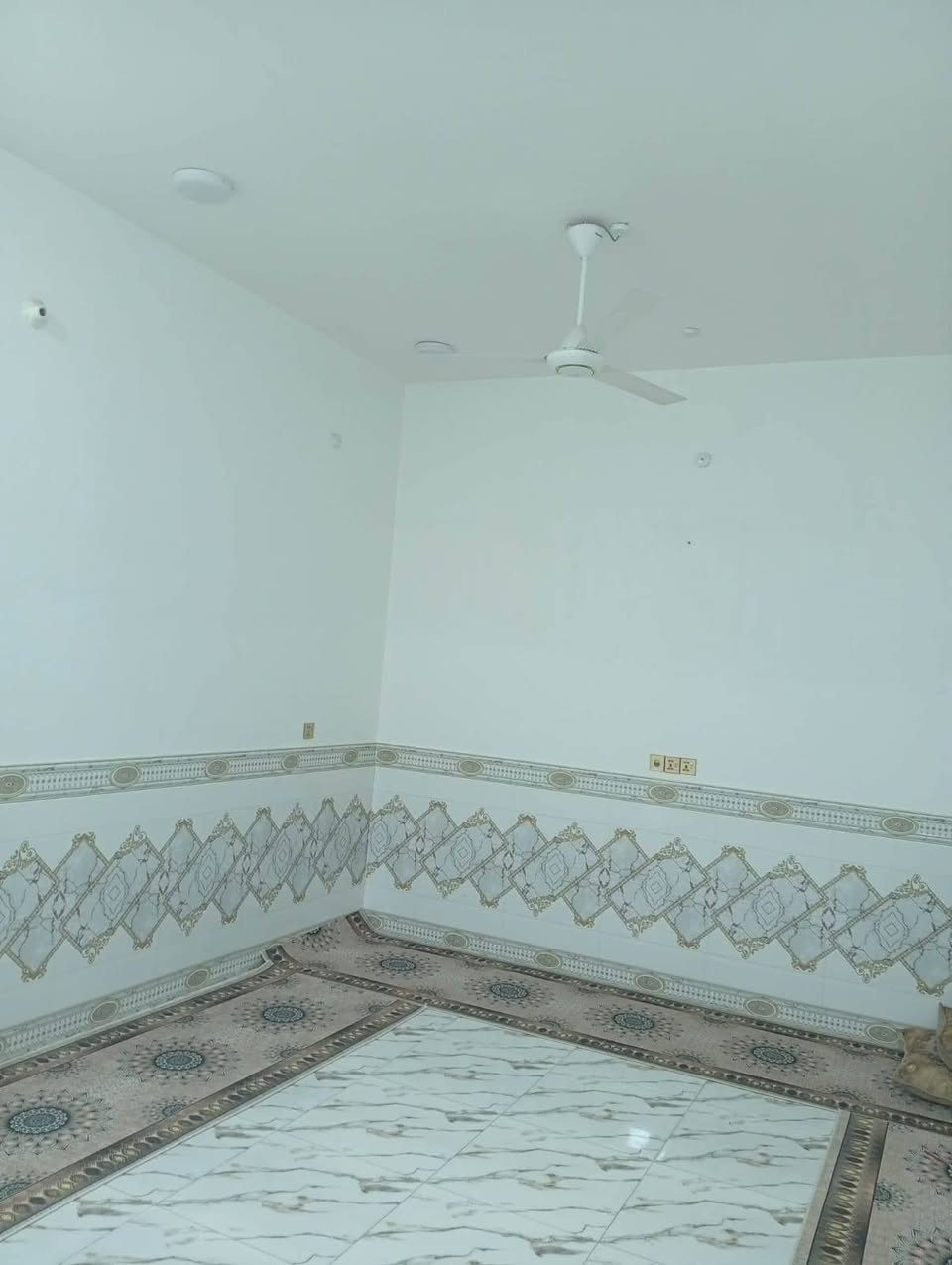 السلام عليكم ✋بيت للبيع الناصريه الحي العسكري🏠
المساحه ٢٠٧ حديث البناء طابق واحد   غرفتين🛏️ استقبال صاله مطبخ 🧑‍🍳 حار بارد كلدور موزع مناور  مجموعة صحيان خارجيه وداخليه🚻
عندك عقار🛖 للبيع ماعليك فقط مراسلتنا✉️
على صفحه✋او على اتصل على وتساب 📜
*********** وتسابhttps://chat.whatsapp.com/CgF4j4SEF8eL8MxtcRHqut
