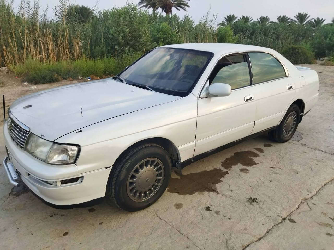 سلام عليكم بطه البيع السعر 35
وبيه مجال مكان ال شطره بيع او مراوس 
***********

نص مكتوب في الصور:
- المنشورات
- كروب ستاركس العراق العام
- اسعد عبد الكاظم راضي ٠٦ س .
- سلام عليكم ستاركس للبيع موديل 2012 بيها ورثه وبيه قاسرين وراعيها متوفي ورقمها صدامي مكان نجف المشخاب ناحيه القادسيه السعر 75 وبيها مجال هذا الرقم ***********