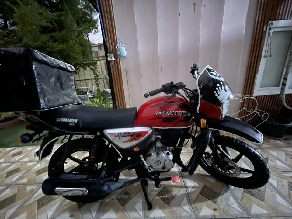 بوكسر • ٢٣ • بدون اوراق