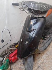 عصفور • شغاله • ١٠٠