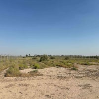 ١٦٠ دونم • طابو زراعي • طابو المحمودية