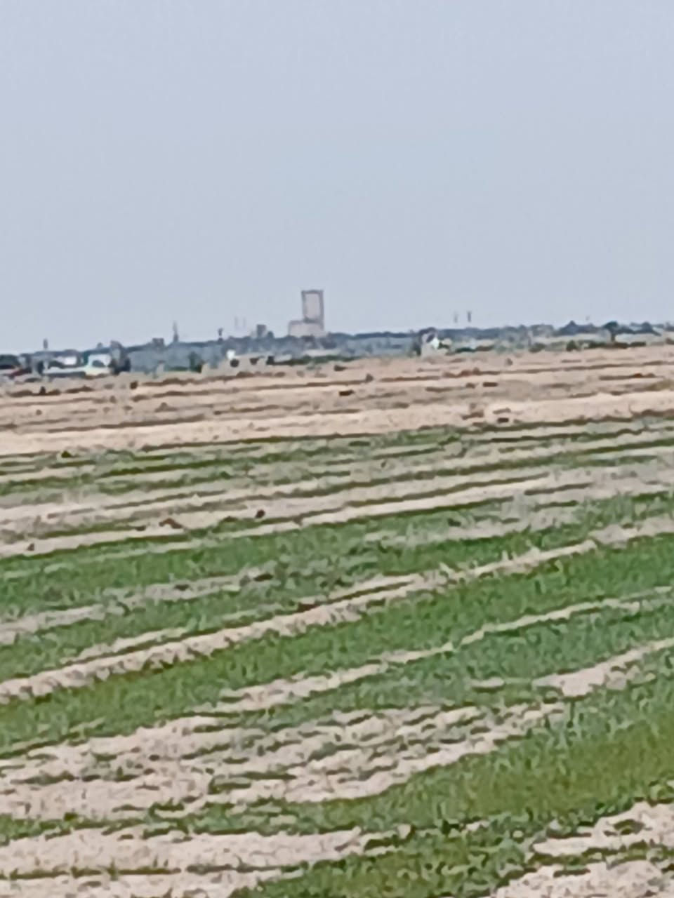 10 دونم سند 117 الصويره مشروع الغراويه سعر الدونم مليونين وربع وبيه مجال ماء سقي متوفر صيف شتاء اساله وكهرباء 500 متر ارض جيده معدله ليزر وصالحه لزراعه با الوقت الحالي للستفسار التصال ***********
