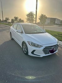 النترا • ٢٠١٨ • باب خلفي متضرر