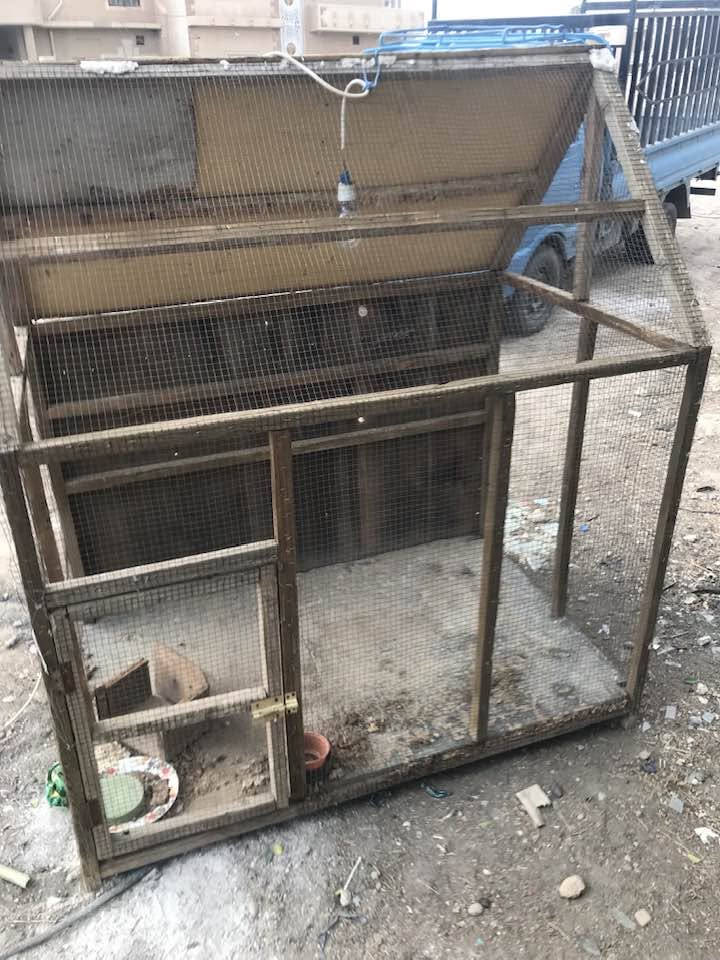قفاص • تكريت