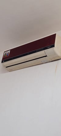 سبلت • ٢ طن • نقص بوري