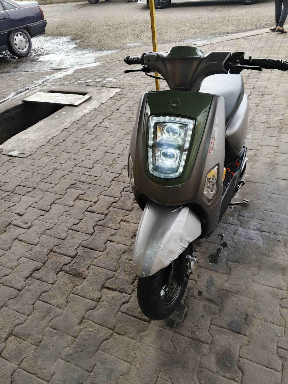 فحل • ٢٠٢٤ • بصمه