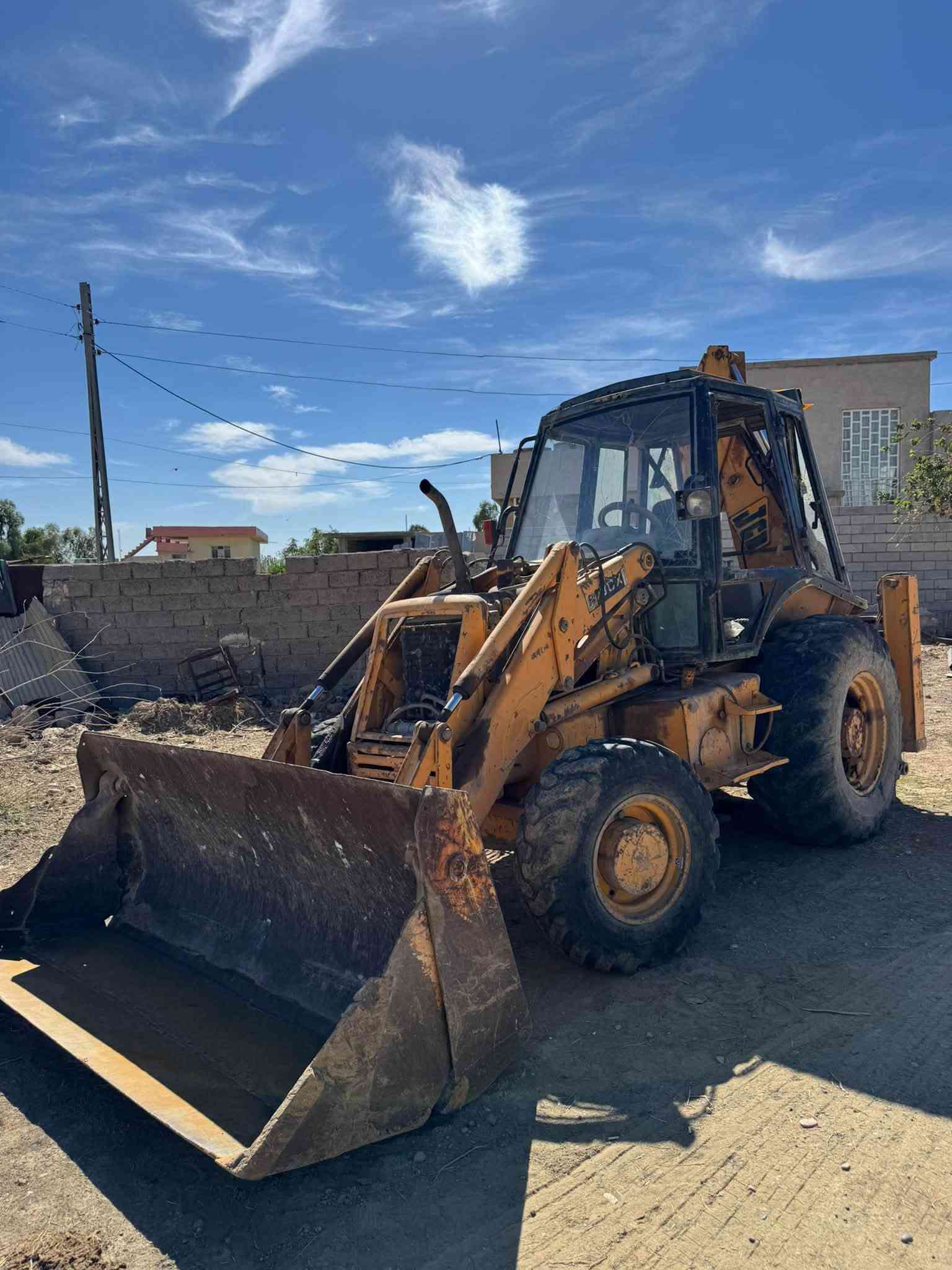 شفل • شغال • بدون أوراق
