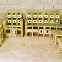تخم مصري • سعف نخيل • ديالى