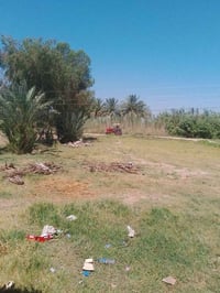 ورحمه الله وبركاته  ارض للبيع زراعيه عقد 17 مي تبليط كهرباء اساله جديد...