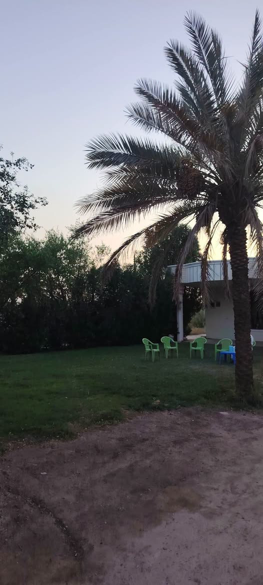 السلام عليكم متوفر بيتين جاهزات للسكن متوفر كافية الخدمات السعر 185 وبي مجال المساحه الكليه 3000 متر تحويل مباشر فاتح بيان تريد بيت تريد بيتين موقع البيت خلف جامعة بابل منطقة ابراهيم الخليل ع للستفسار اكثر اتصال ***********
