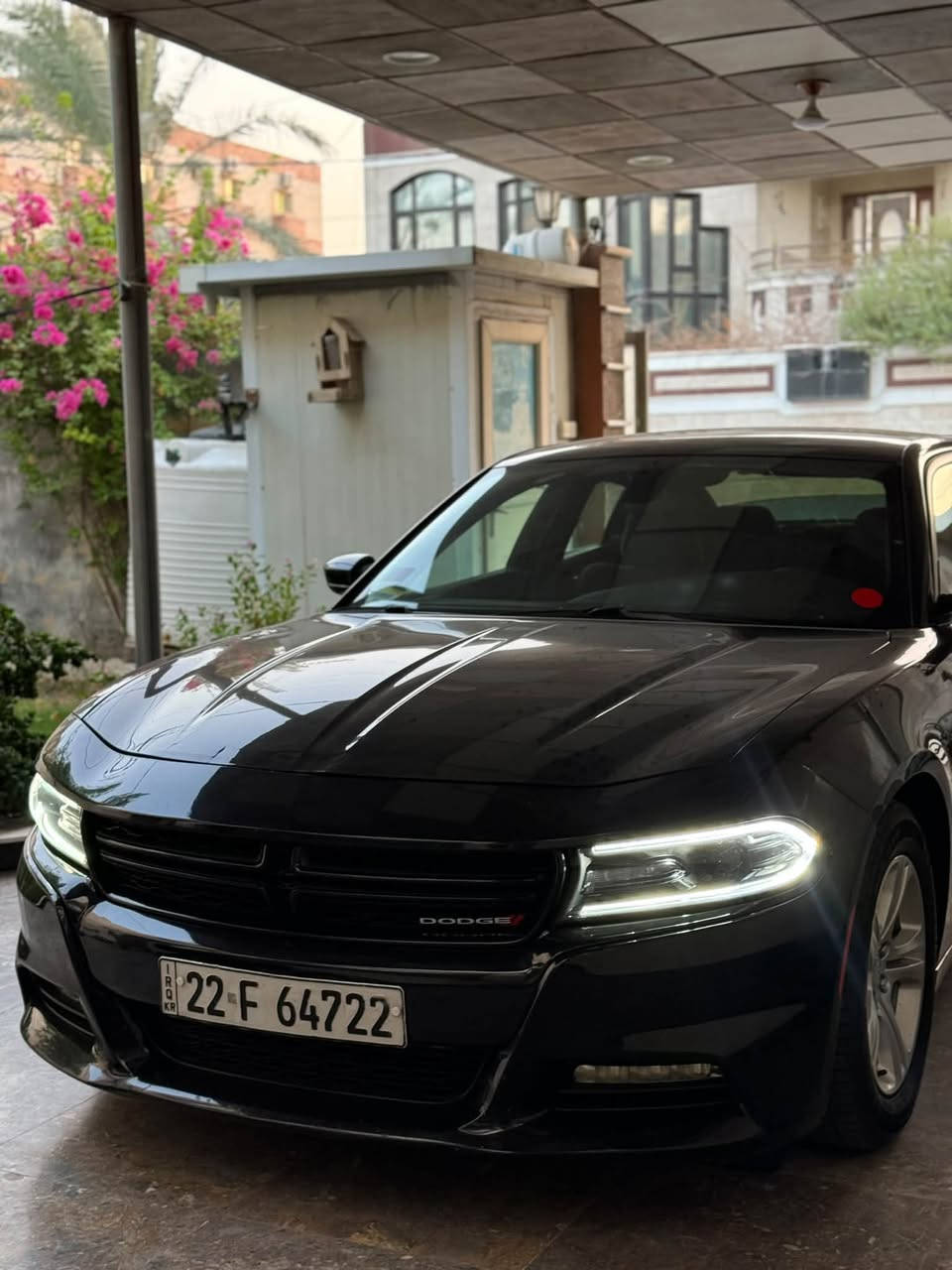 جارجر SXT • ٢٠١٩ • رقم اربيل
