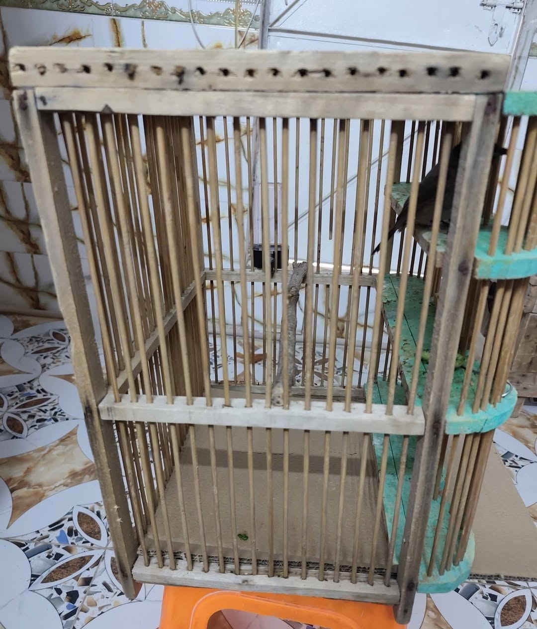 قفص • بيه مجال
