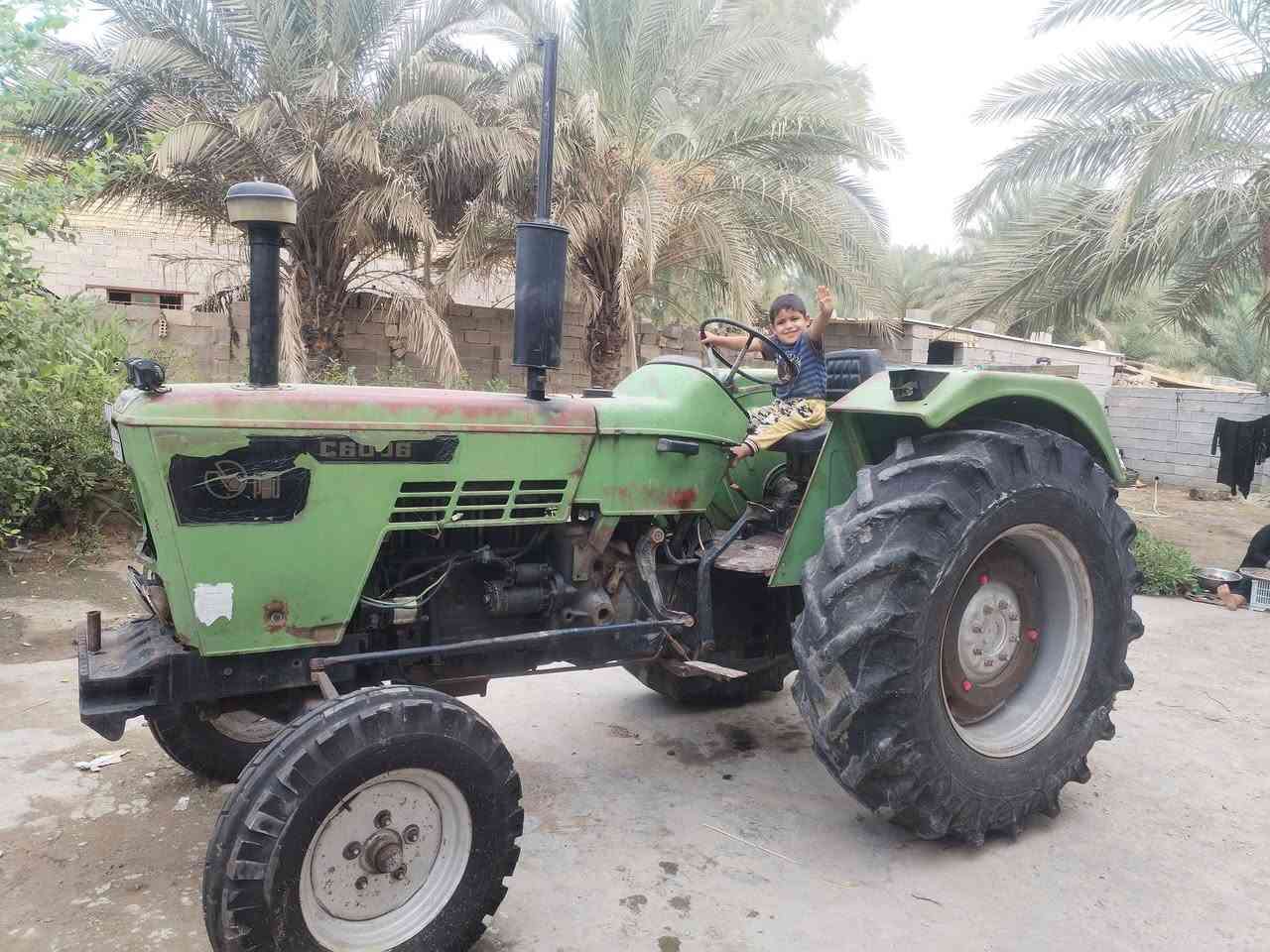 واسط • عجلة
