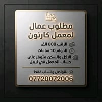 معمل كارتون • عمال • اربيل