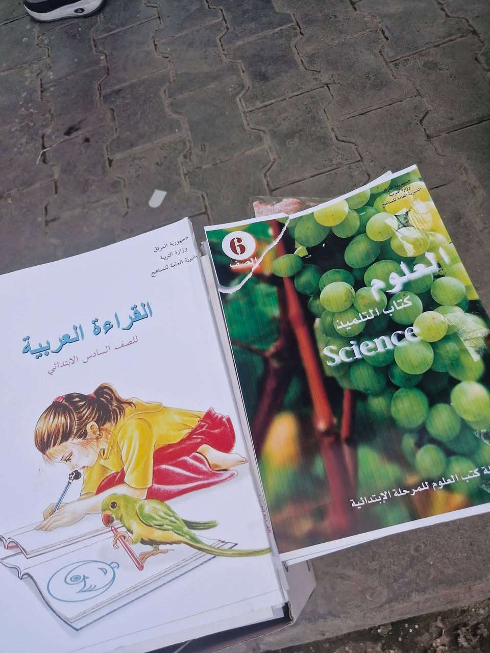 كتب • جميع المراحل