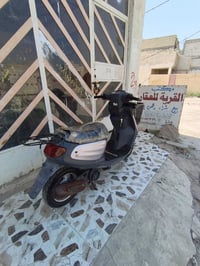 منغولي • ٢٠٠٧ • البوبيات