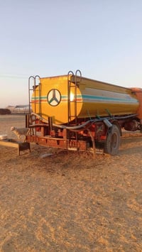 تانكي • بودي • ربيعه