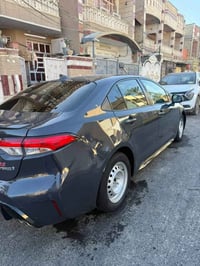 كورلا هايبرد • ٢٠٢٣ • حادث