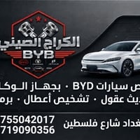 فحص BYD • برمجة سيارات • شارع فلسطين