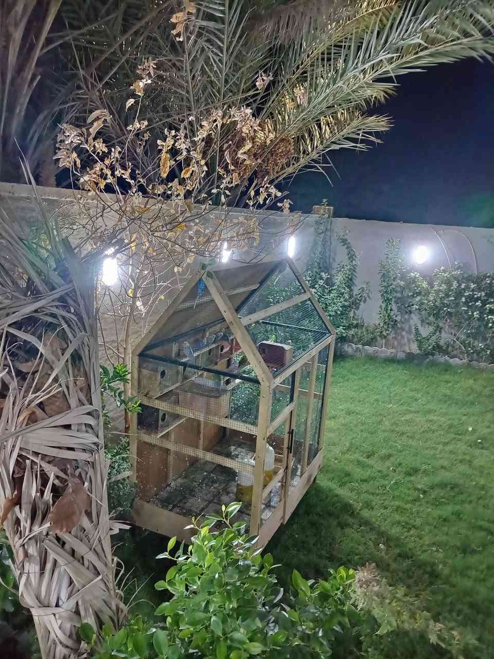 سلام عليكم. قفص طيور للبيع   قفص شغل درجة اولا الهيكل حديد  ومغلف بخشب. ارتفاع متر 65سم. وعرض 85 سم  وطول متر20سم

ملاحظة. فقط القفص للبيع  لطيور مو ويا. سعر 75
***********.
