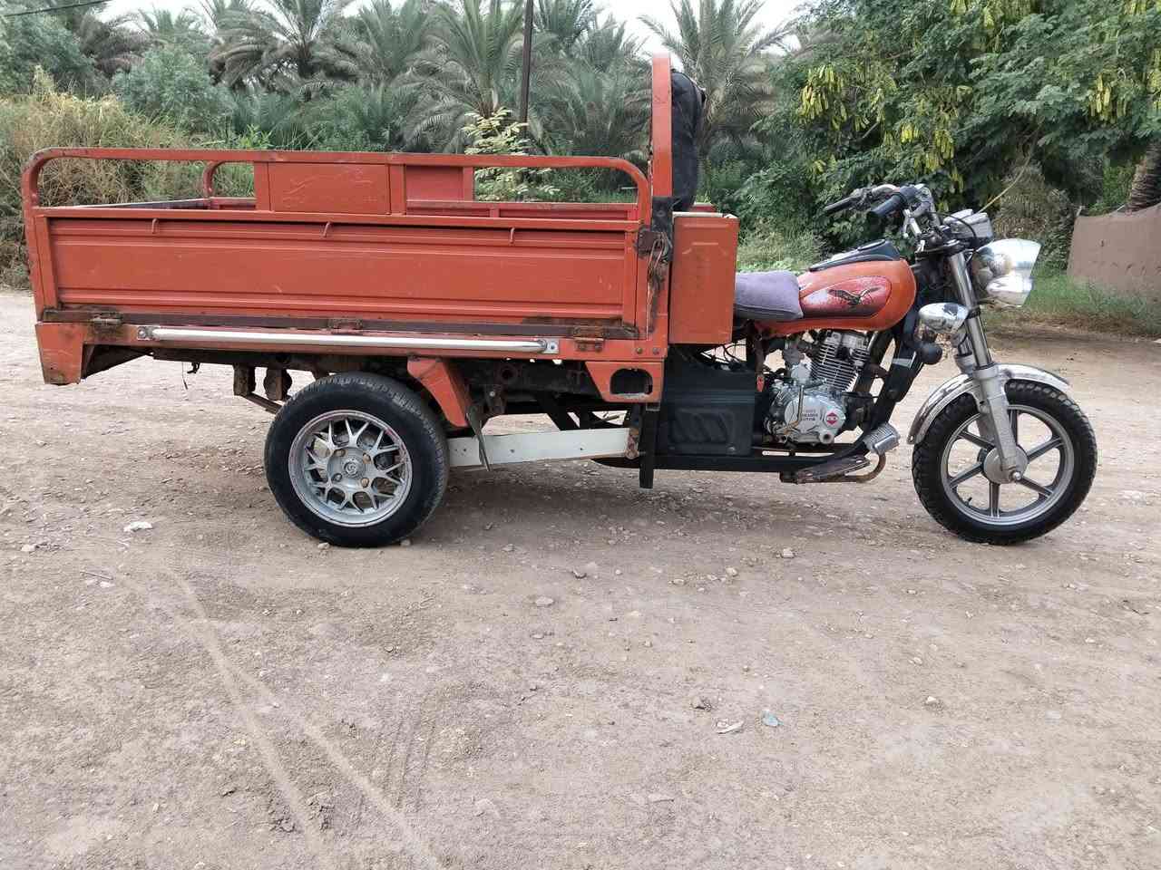 ستوته • ٢٠١٨ • اوراق اصولي