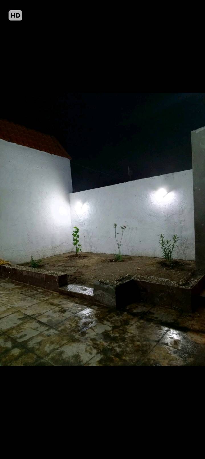 نزلة سيد عودة • سند ٢٥ • ١٢٠م