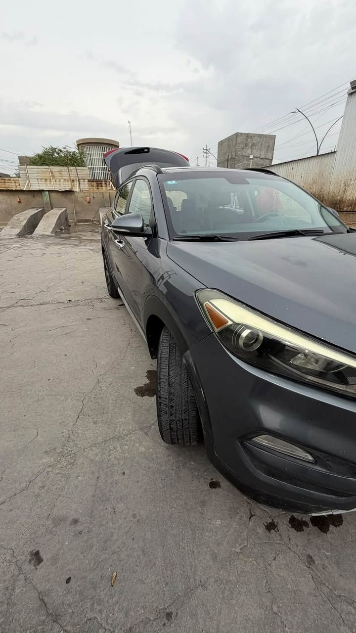 فل كامل • JDi ٢٠٠٠ • بند مصبوغ