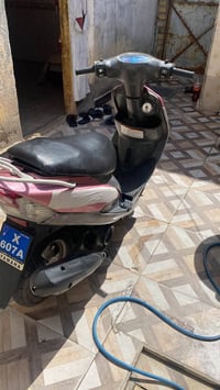 ماكس قجمة • نضيف • بوشه ٤٩/٥٥