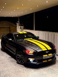 موستنك ايكوبوست • ٢٠١٧ • رقم اربيل